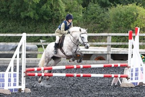 Class 5 - Fences not above 2'6